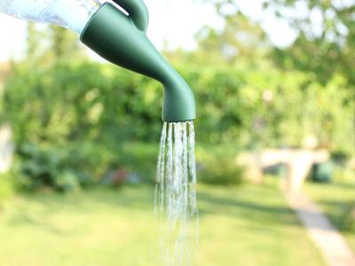 PET Bottle Watering Can