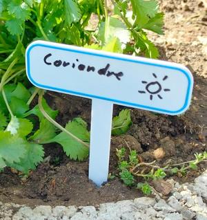 Panneau nom plantes