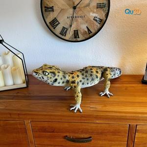 Leopard Gecko Female