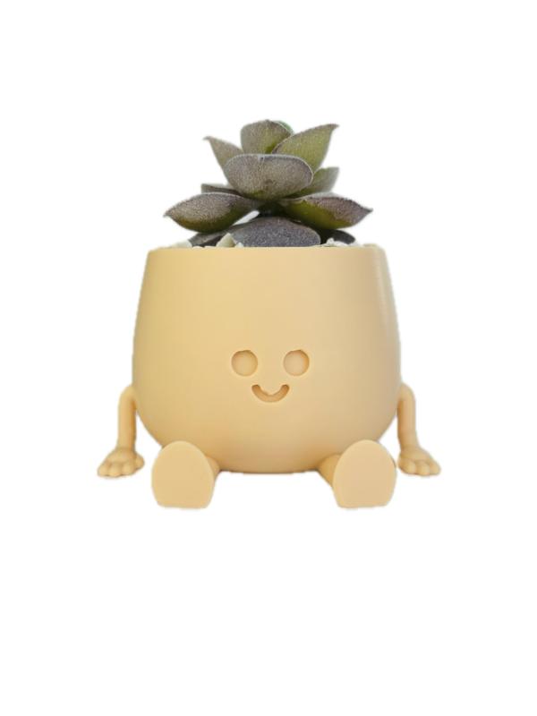 BOBBY PLANTER / HAPPY FACE PLANTER / SUCCULENT PLANTER