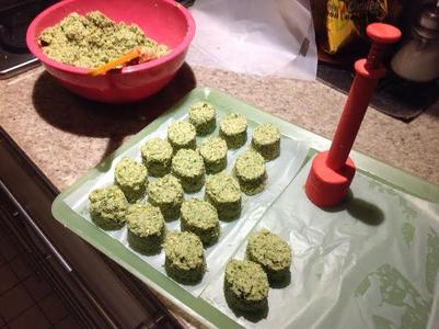 Falafel & albondiguitas extruder