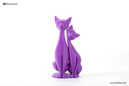 Twin cats 