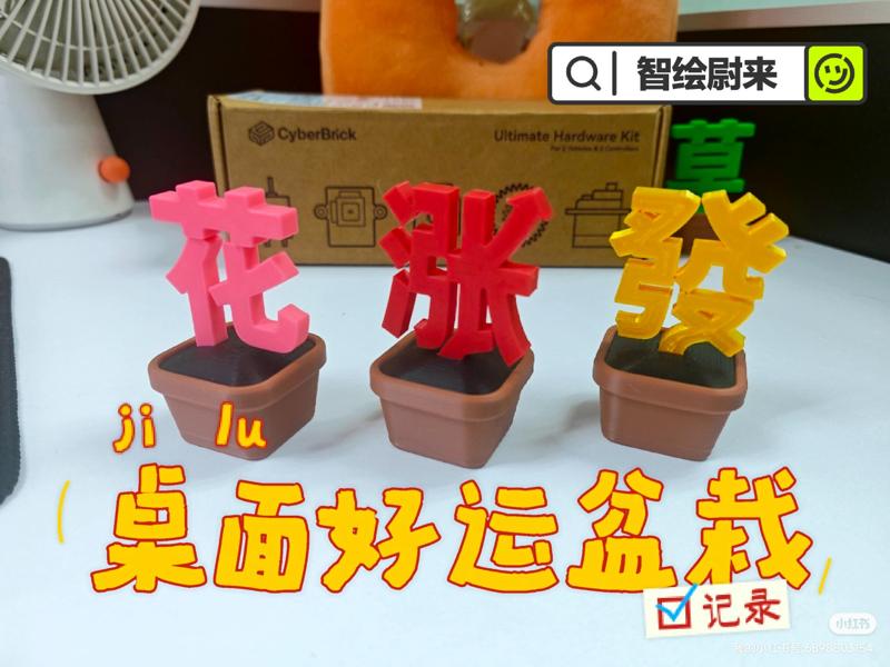 Desktop Lucky Potted Plant