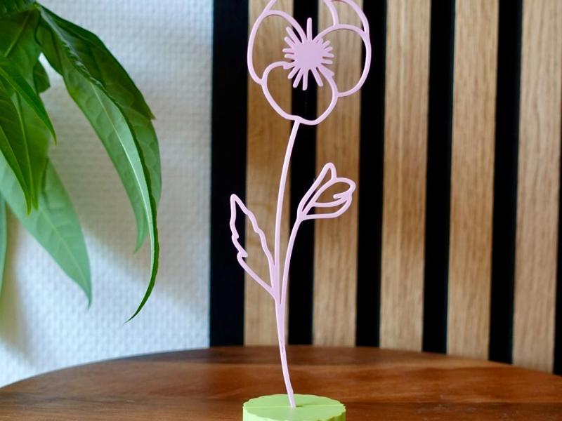 February Birth Flower - Violet