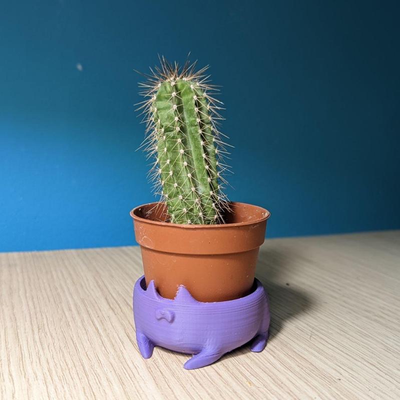 CAT-POT