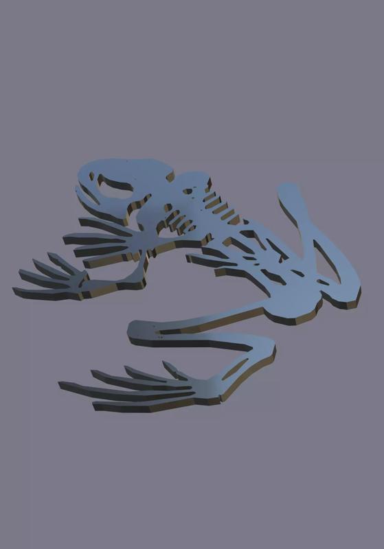 Esqueleto rana buzo tactico