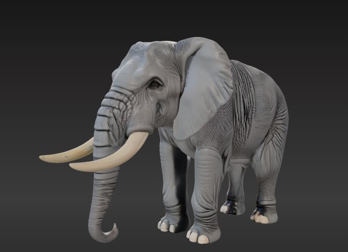 Wild Life Collection - Elephant