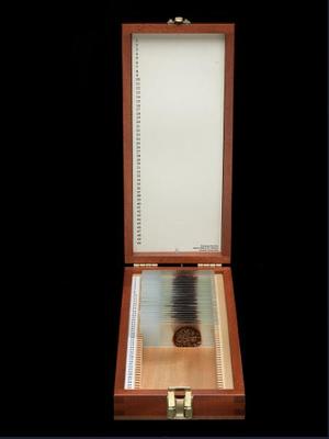 Dexter Blood Slide Box /Dexter Morgan anılar