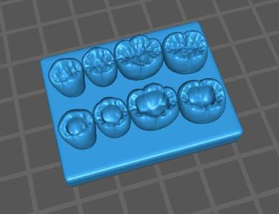 dental carving lower model