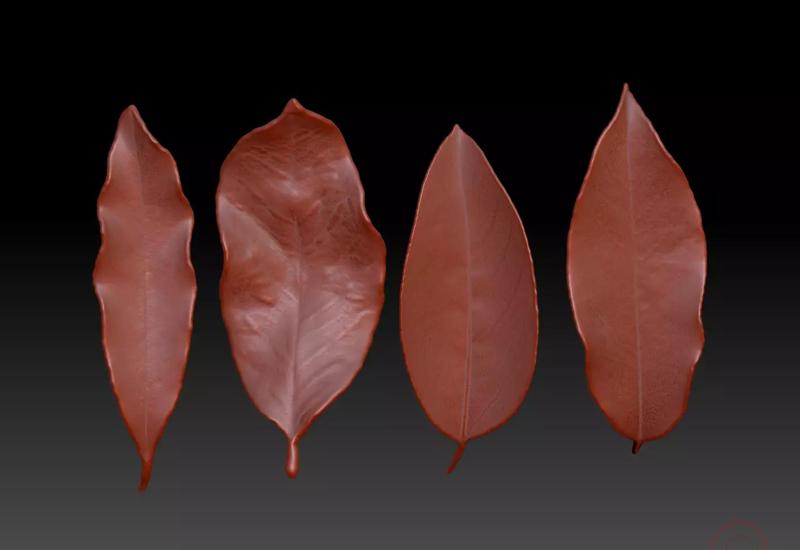 Autumn leaves Leaf sculpture ZBrush Leaf Brush realistic