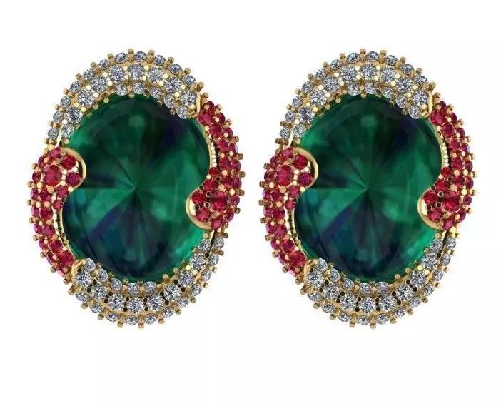 Earrings