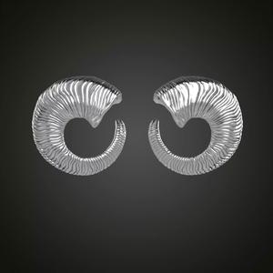 Horn earrings