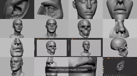 Printable Parts and Heads 3D Model Collection