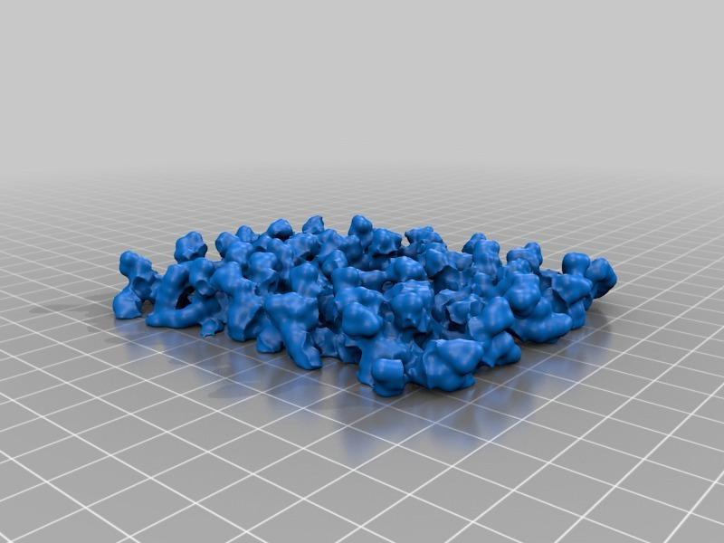 Phospholipid Membrane Bilayer