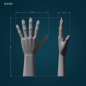 Hand Model