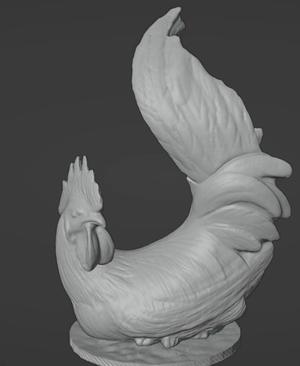 Rooster