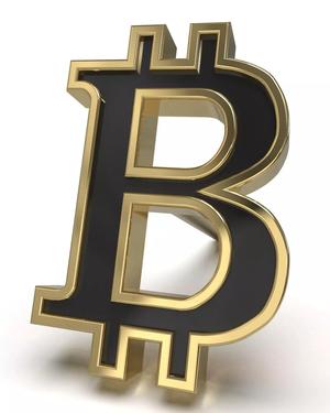 Bitcoin framed stud earring enamel ready