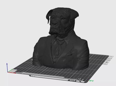 Cane Corso Dog