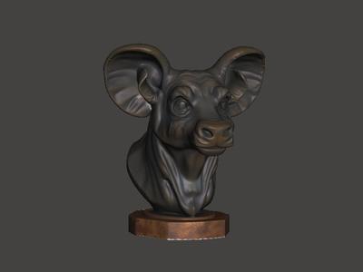 Enigmatic Face Bust Two Interpretations K005 Gift Bust Figure Unique & Detailed 3D Print Model