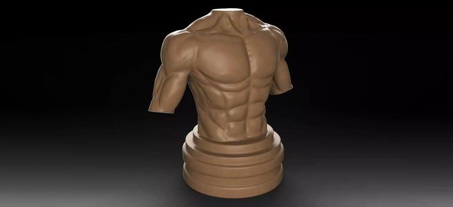 Muscular Male Torso