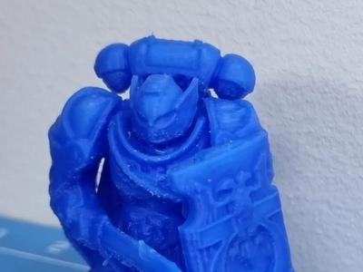 Space dude - Honor Guards