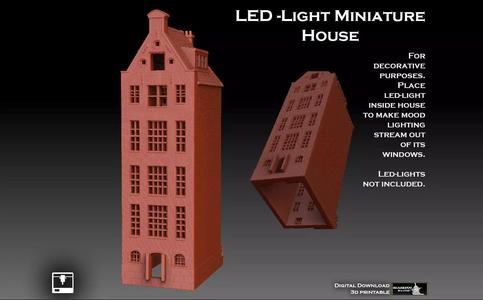 LED Light Miniature House