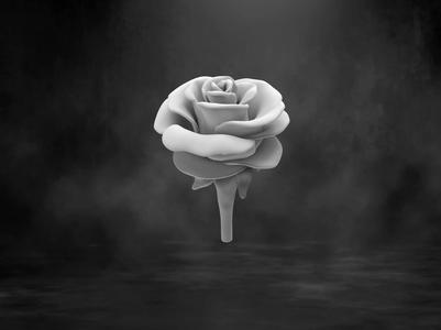Rose Flower