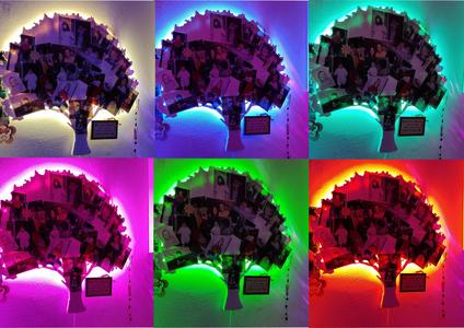 Tree wall lamp photo board light