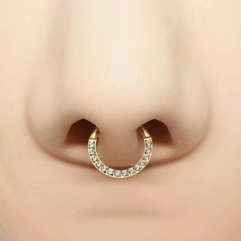 Pac 4 sizes Segment ear and nose ring Piercing Helix Tragus