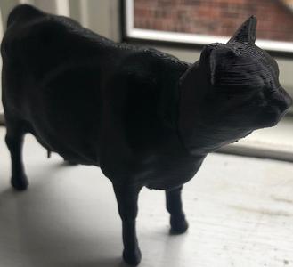Cow with Cats Head