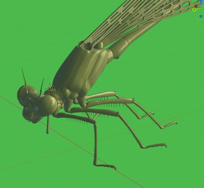 Damselfly organic