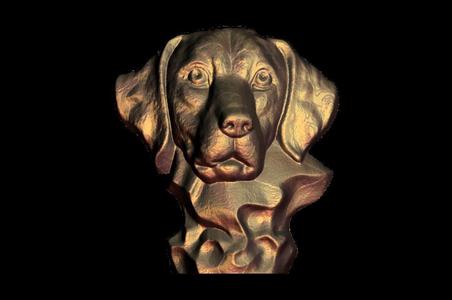 cute hunting dog