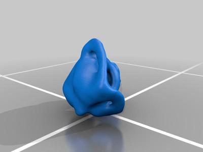 Frog inner ear and operculum