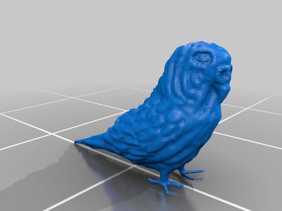 Budgie