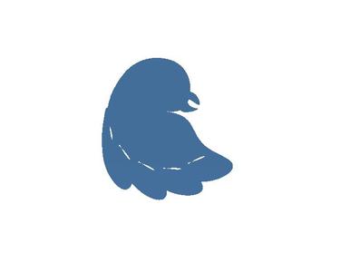shy bird visualizer