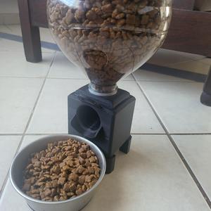 Pet food dispenser with recycled bottled water tank