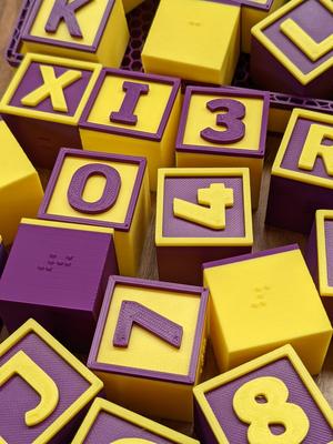 Braille Alphabet & Numbers Blocks