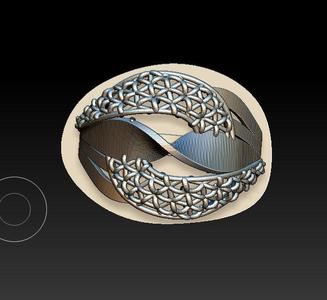 ring 3d