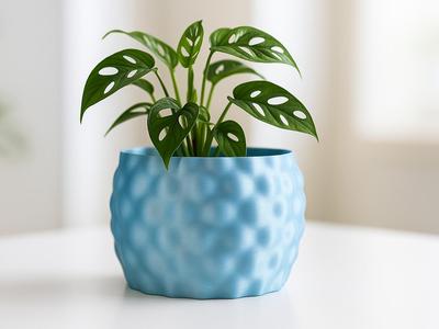 The Bubbles Planter - Botany Chic Creation