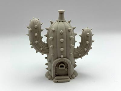 Cactus Fairy House