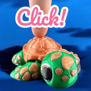 Clicky Shelldon the baby Sea Turtle