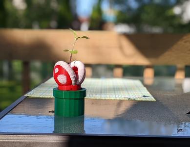 Piranha Plant Pot