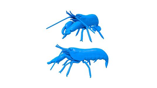 Shrimp Stl / Prawn / Prawn stl / CRAYFISH / PRAWN / LOBSTER / Shrimp