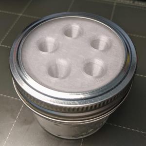 Mason (Ball) Jar Fruit Fly Trap