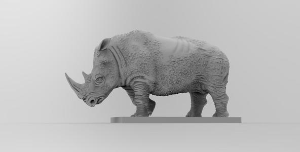 Rhino