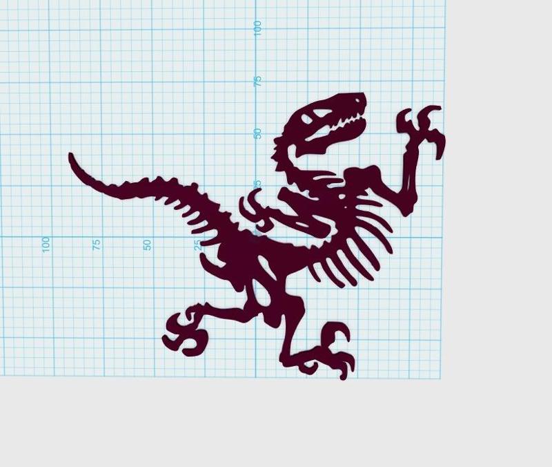 Raptor