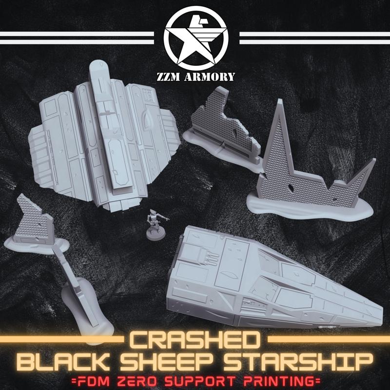 CRASHED BLACK SHEEP STARSHIP