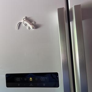 Gecko Fridge Magnet