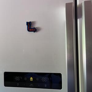Live Fridge Magnet