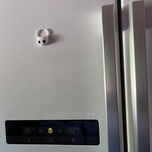 Hollow Knight Fridge Magnet